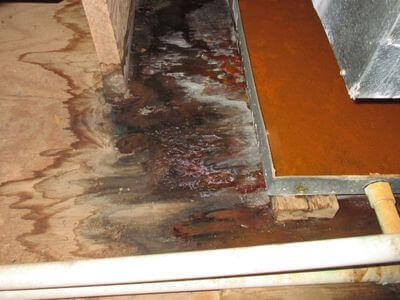 About water damage restoration service - commercial flood cleanup experts in Hempstead